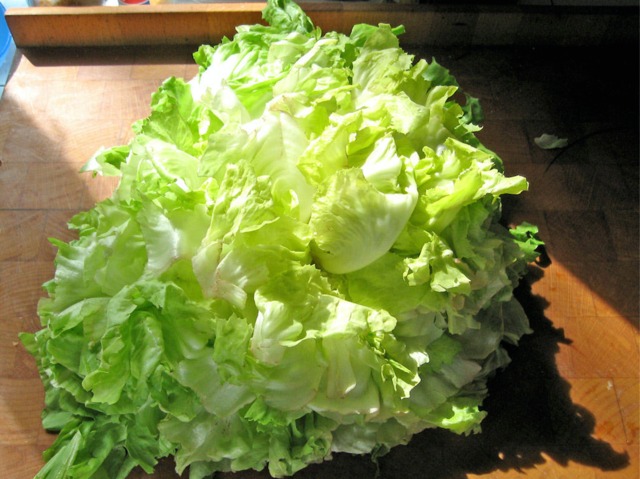 Escarole હૃદય